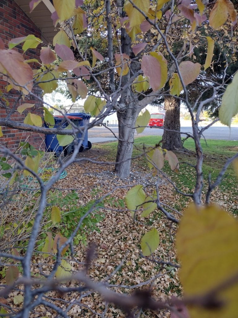 Fall Home Sales